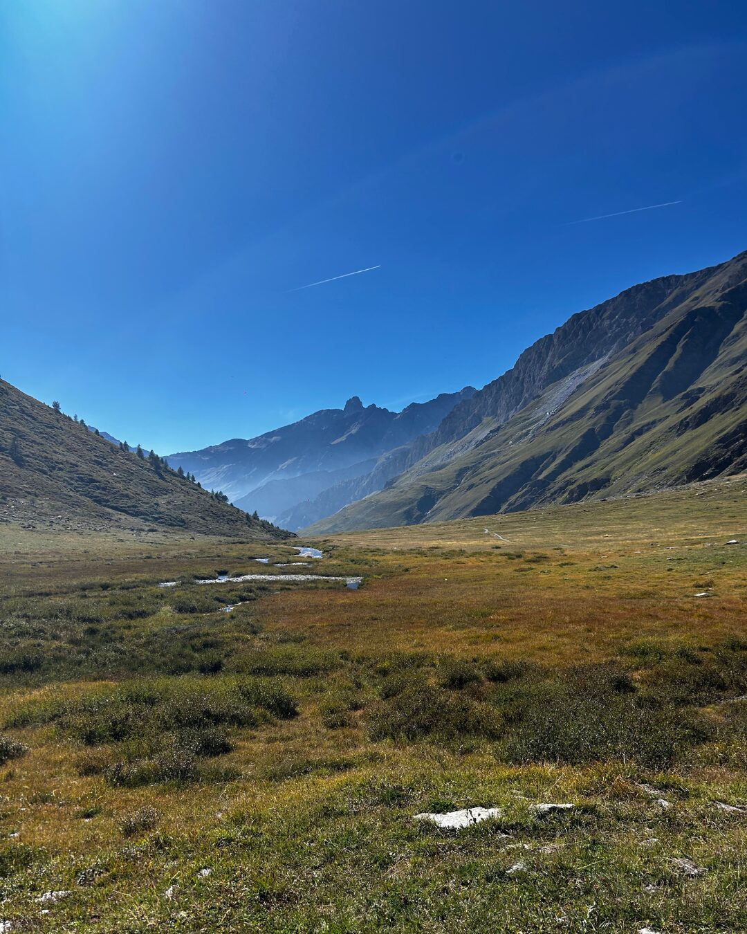 Pascoli e torrente del Vallone di Soustra in alta Valle Varaita
